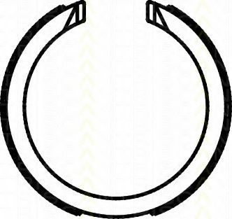 TRISCAN 810021003 Стояночная тормозная система 