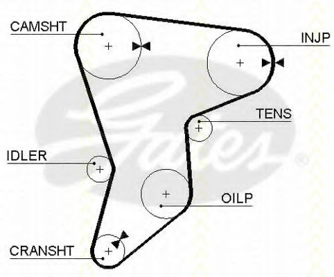 TRISCAN 86455133 Ремень ГРМ 
