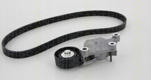 TRISCAN 864210002 Поликлиновой ременный комплект 