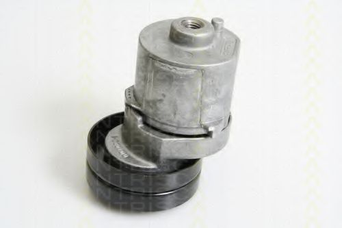 TRISCAN 8641163014 Натяжная планка, поликлиновой ремень 