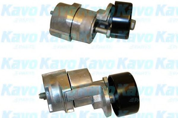 KAVO PARTS DTP3006 Натяжной ролик, поликлиновой ремень 