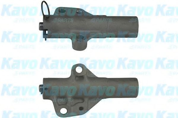KAVO PARTS DTD5507 Успокоитель, зубчатый ремень 
