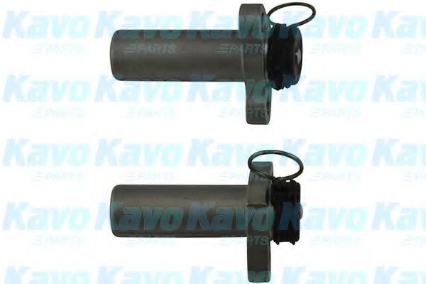 KAVO PARTS DTD9006 Успокоитель, зубчатый ремень 
