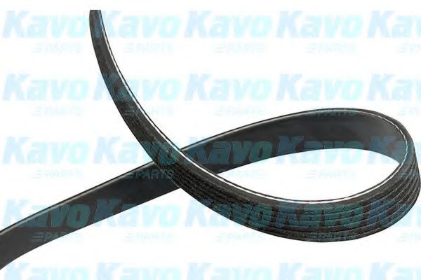 KAVO PARTS DMV3506 Поликлиновой ремень 