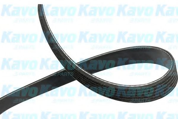 KAVO PARTS DMV9004 Ремень генератора для SSANGYONG RODIUS