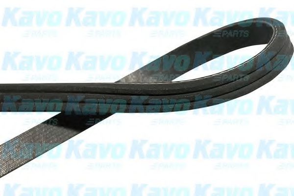 KAVO PARTS DMV9007 Поликлиновой ремень 
