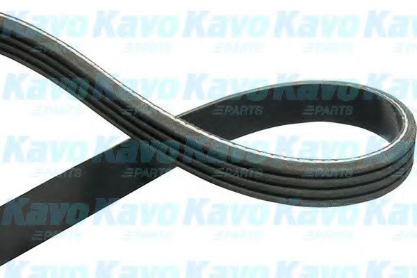 KAVO PARTS DMV9054 Поликлиновой ремень 