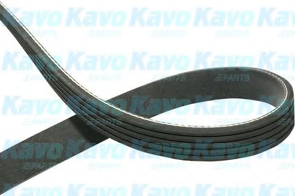 KAVO PARTS DMV9075 Ремень генератора KAVO PARTS 