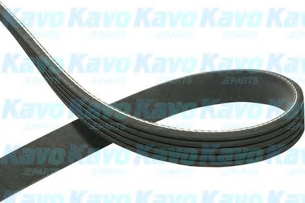 KAVO PARTS DMV9077 Поликлиновой ремень 