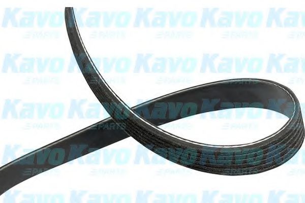 KAVO PARTS DMV9083 Ремень генератора KAVO PARTS 