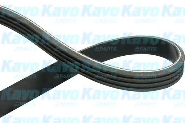 KAVO PARTS DMV9105 Ремень генератора KAVO PARTS 