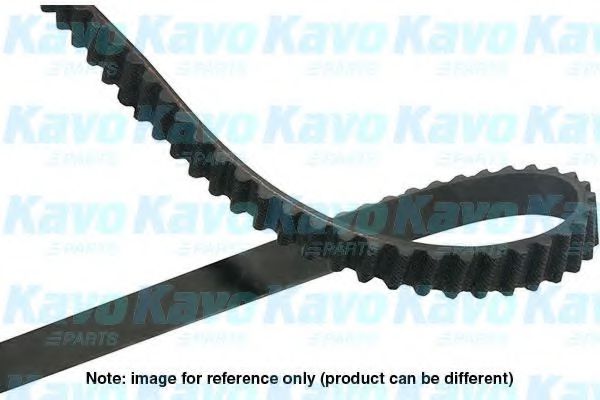 KAVO PARTS DTB5545 Ремень ГРМ KAVO PARTS DTB5545 Ремень ГРМ