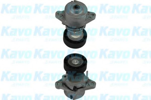 KAVO PARTS DTP3017 Натяжной ролик, поликлиновой ремень KAVO PARTS DTP3017 Натяжной ролик, поликлиновой ремень