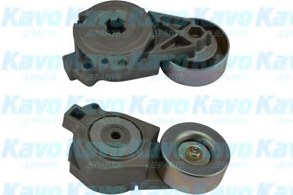 KAVO PARTS DTP5504 Натяжной ролик, поликлиновой ремень 