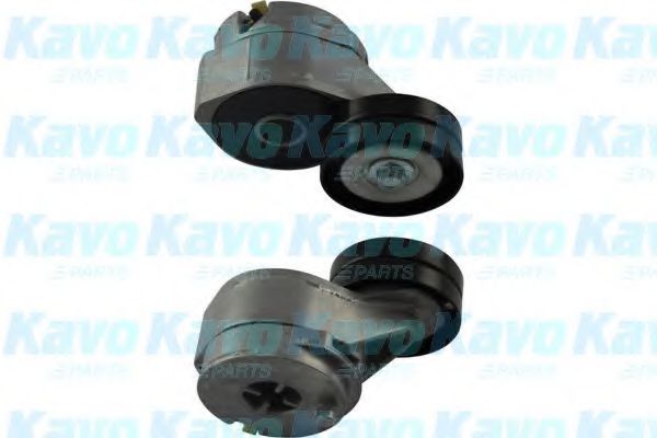 KAVO PARTS DTP2005 Натяжной ролик, поликлиновой ремень 