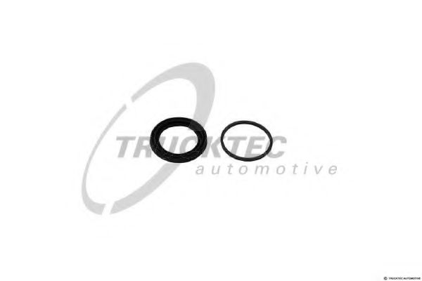 TRUCKTEC AUTOMOTIVE 0243134 Ремкомплект, тормозной суппорт 