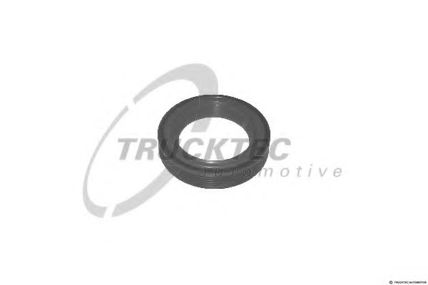 TRUCKTEC AUTOMOTIVE 0710010 Распредвал TRUCKTEC AUTOMOTIVE для VOLVO S80 1 (TS, XY)