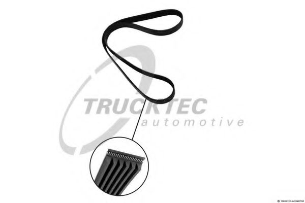 TRUCKTEC AUTOMOTIVE 0819083 Поликлиновой ремень  TRUCKTEC AUTOMOTIVE 0819083 Поликлиновой ремень