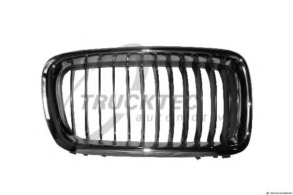 TRUCKTEC AUTOMOTIVE 0862255 Решетка радиатора 