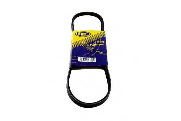 SCT Germany 7R901 Ремень генератора  для KIA (Киа)