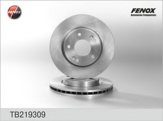FENOX TB219309 Тормозные диски для HYUNDAI