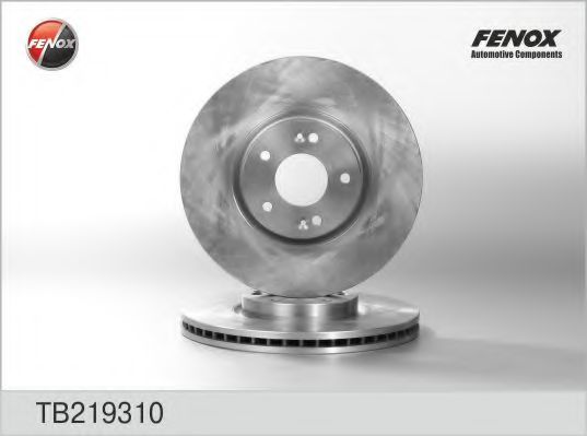 FENOX TB219310 Тормозные диски FENOX для KIA