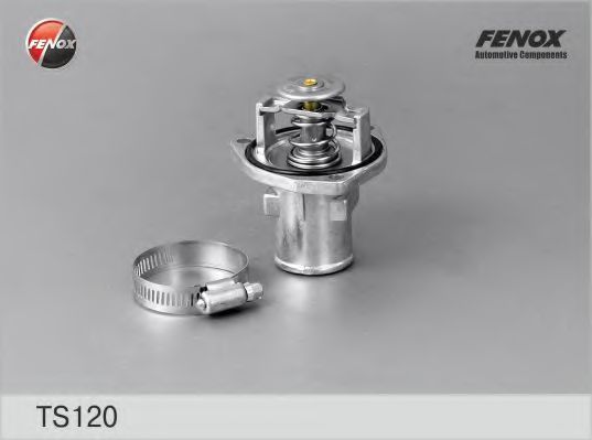FENOX TS120 Термостат для ROVER