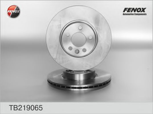 FENOX TB219065 Тормозные диски FENOX для VOLKSWAGEN