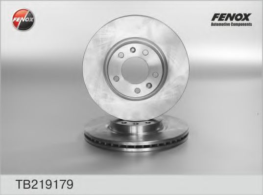 FENOX TB219179 Тормозные диски для PEUGEOT