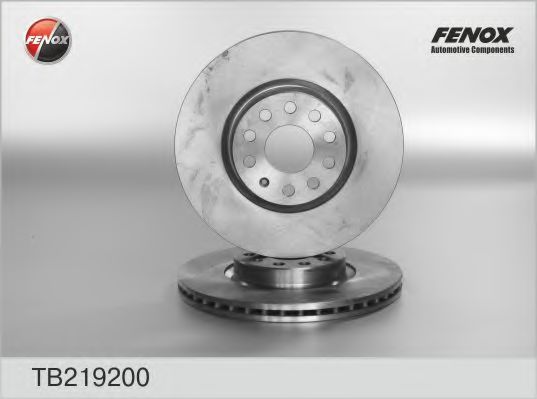 FENOX TB219200 Тормозные диски для MERCEDES-BENZ R-CLASS
