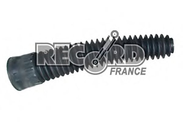 RECORD FRANCE 925291 Комплект пыльника и отбойника амортизатора RECORD FRANCE 