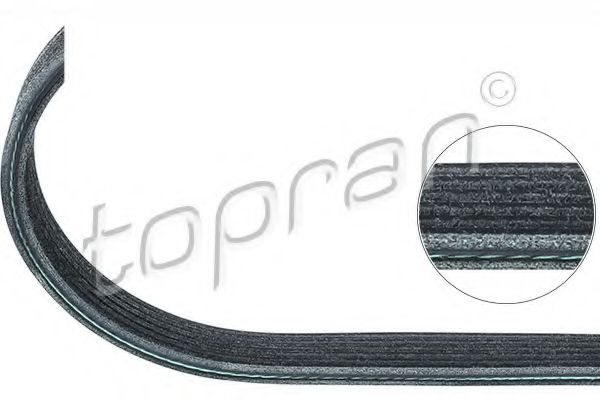 TOPRAN 501683 Ремень генератора TOPRAN для BMW