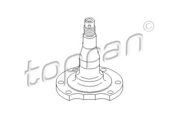 TOPRAN 111407 Ступица колеса 