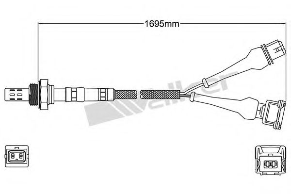 WALKER PRODUCTS 25024145 Лямбда-зонд WALKER PRODUCTS 