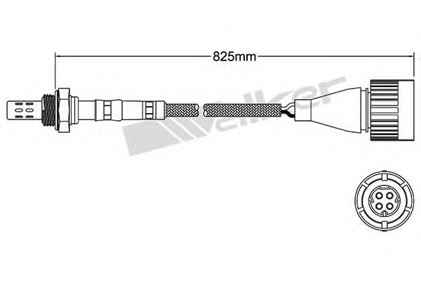 WALKER PRODUCTS 25024025 Лямбда-зонд WALKER PRODUCTS 