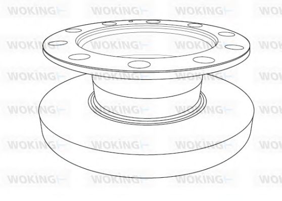 WOKING NSA119210 Тормозные диски WOKING для RENAULT TRUCKS