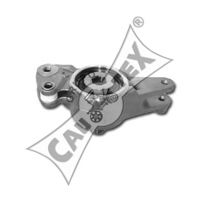 CAUTEX 180915 Натяжная планка, поликлиновой ремень 