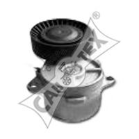 CAUTEX 201008 Натяжная планка, поликлиновой ремень 