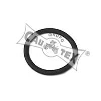 CAUTEX 952047 Прокладка, термостат 