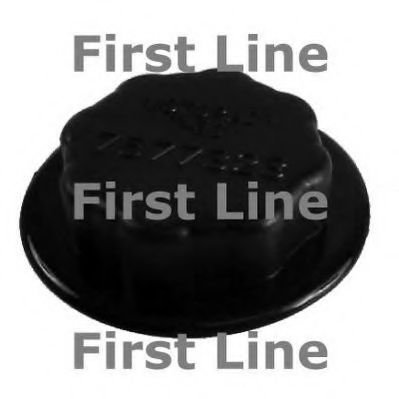 FIRST LINE FRC79 Радиатор охлаждения двигателя FIRST LINE 
