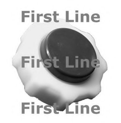 FIRST LINE FRC97 Радиатор охлаждения двигателя FIRST LINE 