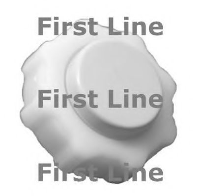 FIRST LINE FRC98 Радиатор охлаждения двигателя FIRST LINE 