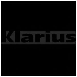 KLARIUS 380596 Катализатор для FORD USA