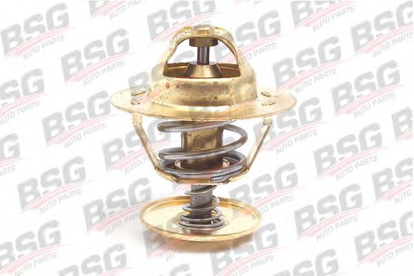 BSG BSG30125004 Термостат BSG 