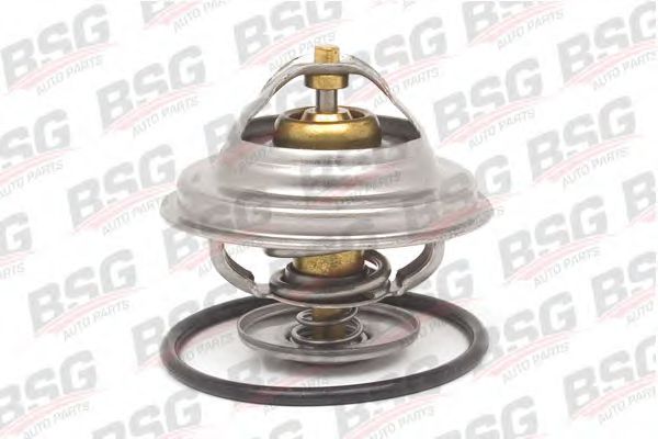 BSG BSG60125001 Термостат BSG 