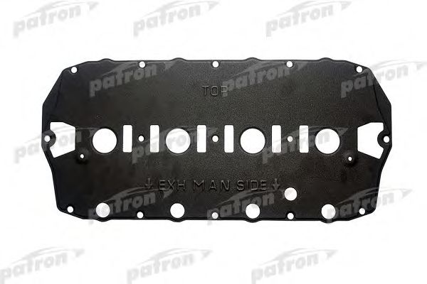 PATRON PG60028 Прокладка клапанной крышки для ROVER 200