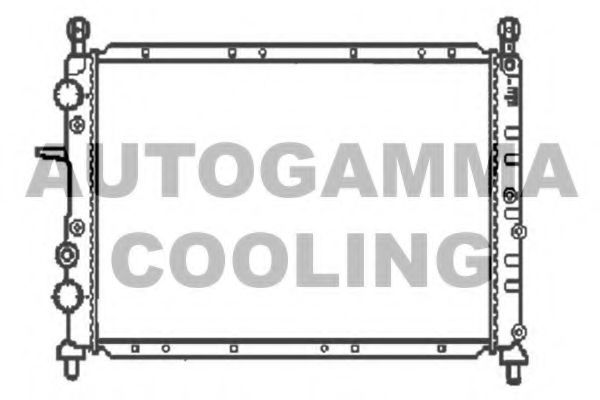 AUTOGAMMA 100266 Радиатор охлаждения двигателя AUTOGAMMA 