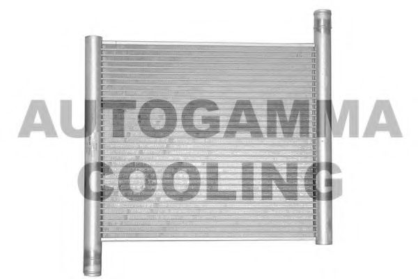 AUTOGAMMA 102307 Радиатор охлаждения двигателя для SMART