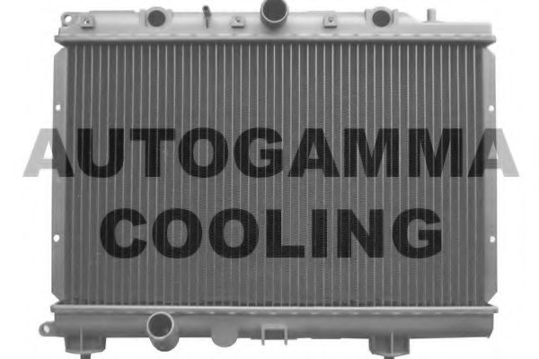 AUTOGAMMA 102943 Радиатор охлаждения двигателя AUTOGAMMA для ROVER