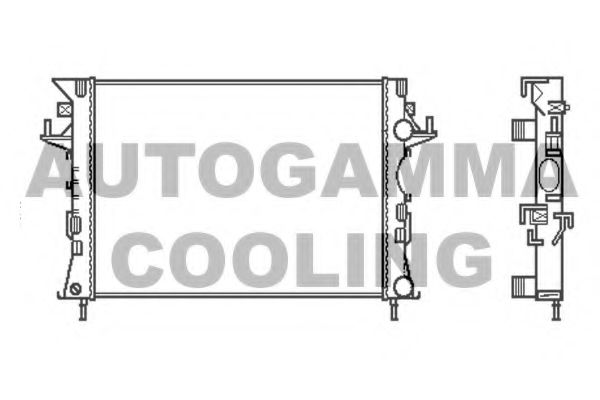 AUTOGAMMA 103114 Крышка радиатора для RENAULT VEL SATIS